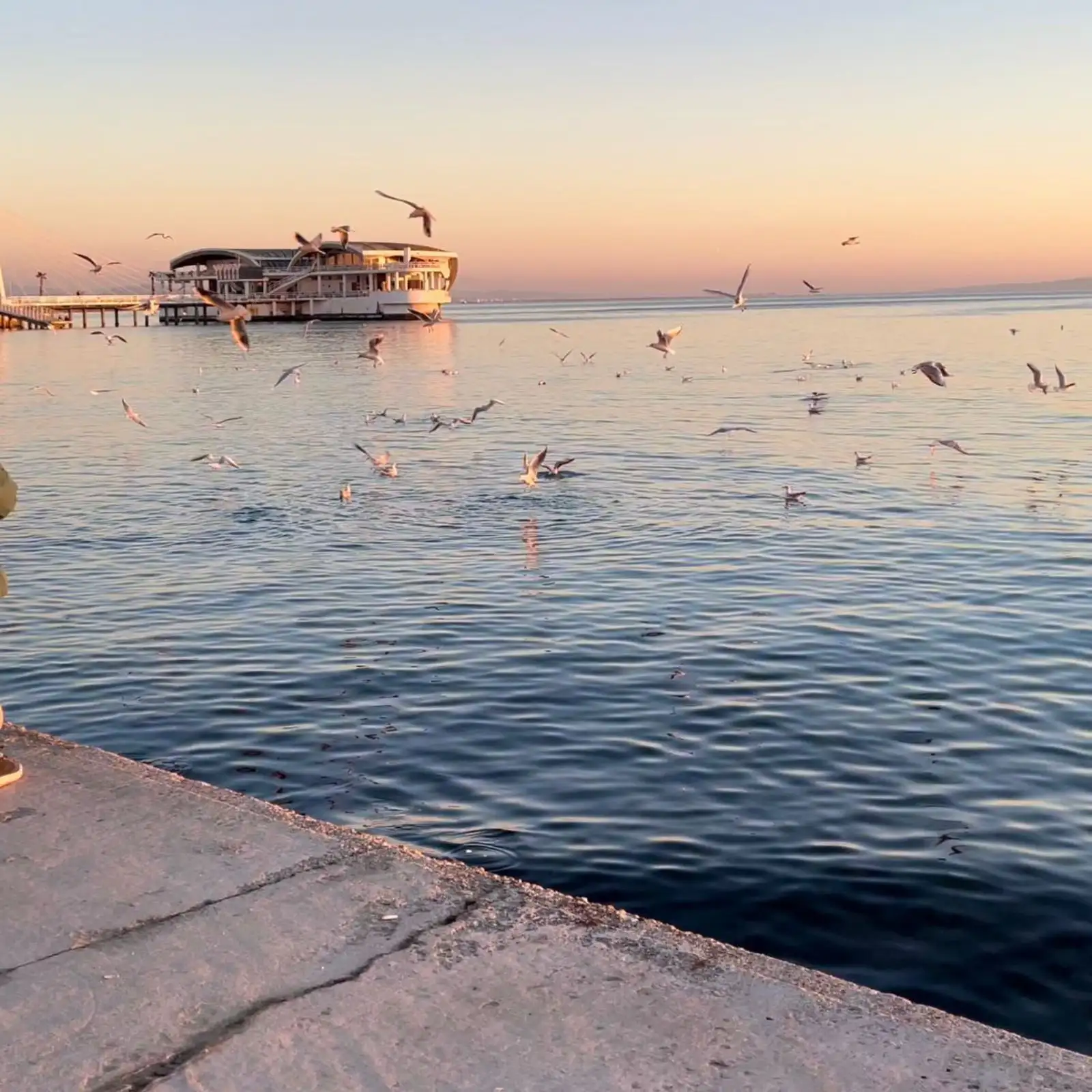 img_id_634817.45.25 (1).webp